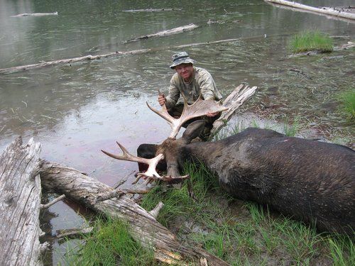 Moose Hunt