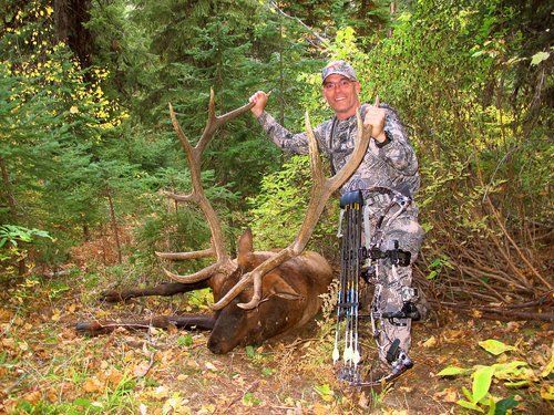 Elk Hunt