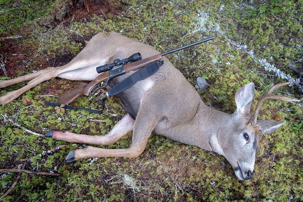 Mule Deer Hunt