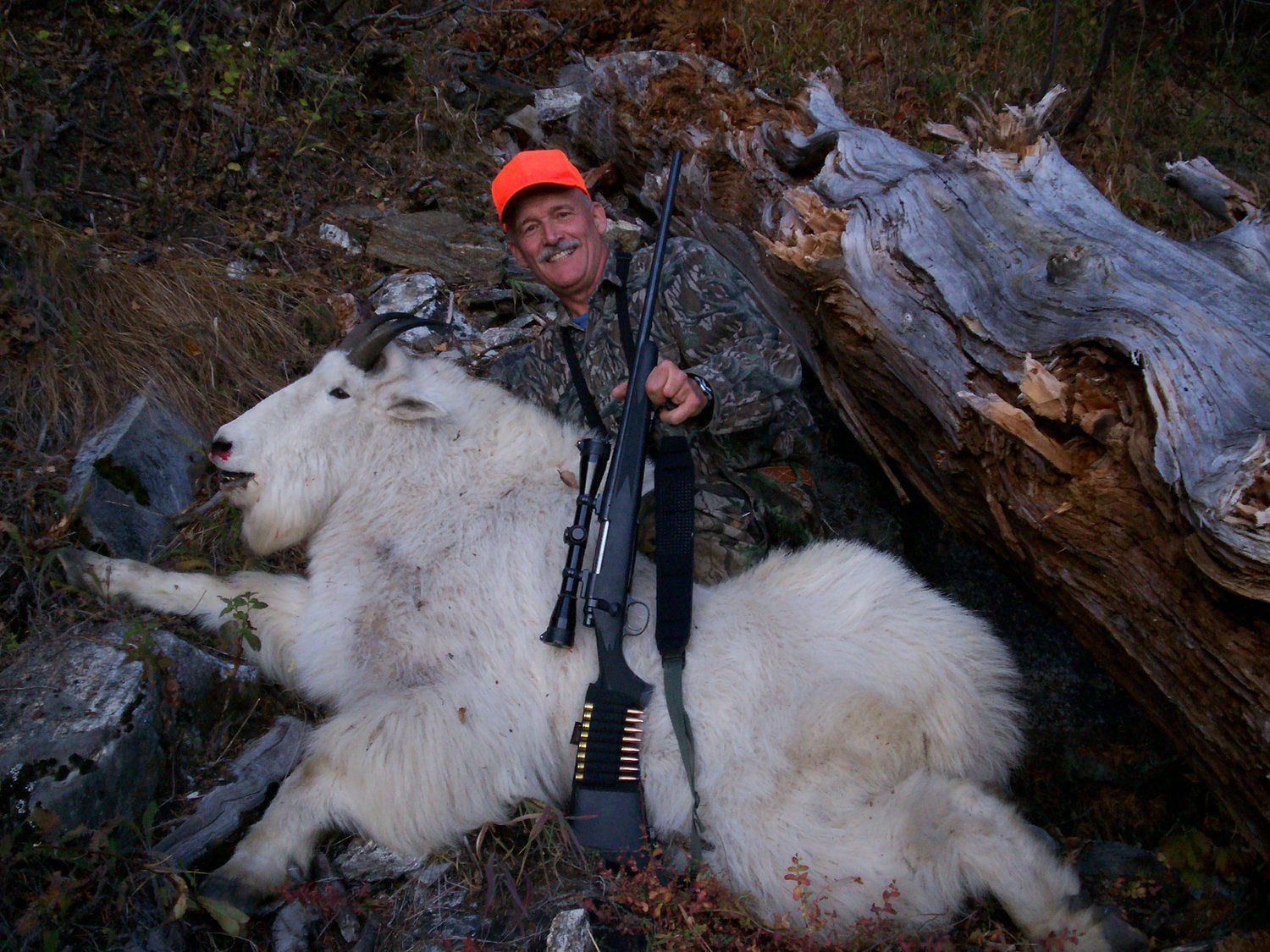 Mountain Goat Hunt