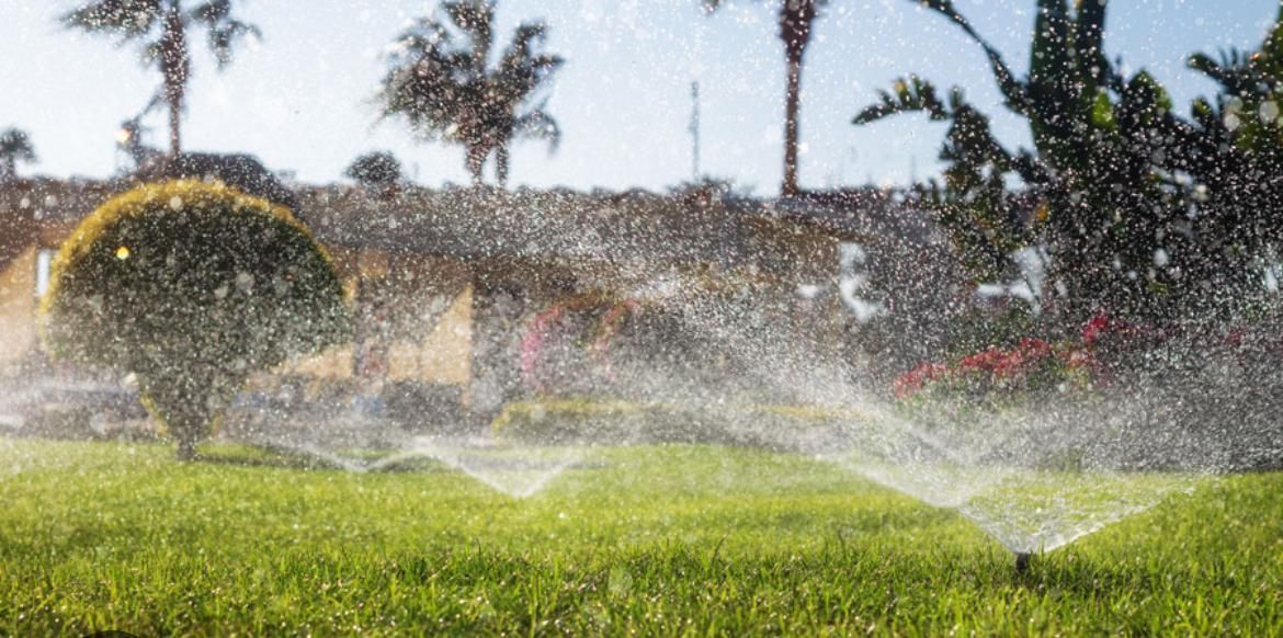 Irrigatori da giardino che spruzzano acqua su un prato verde con palme sullo sfondo.
