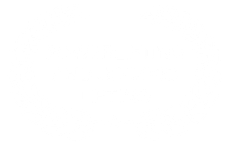 A white background with a few lines on it