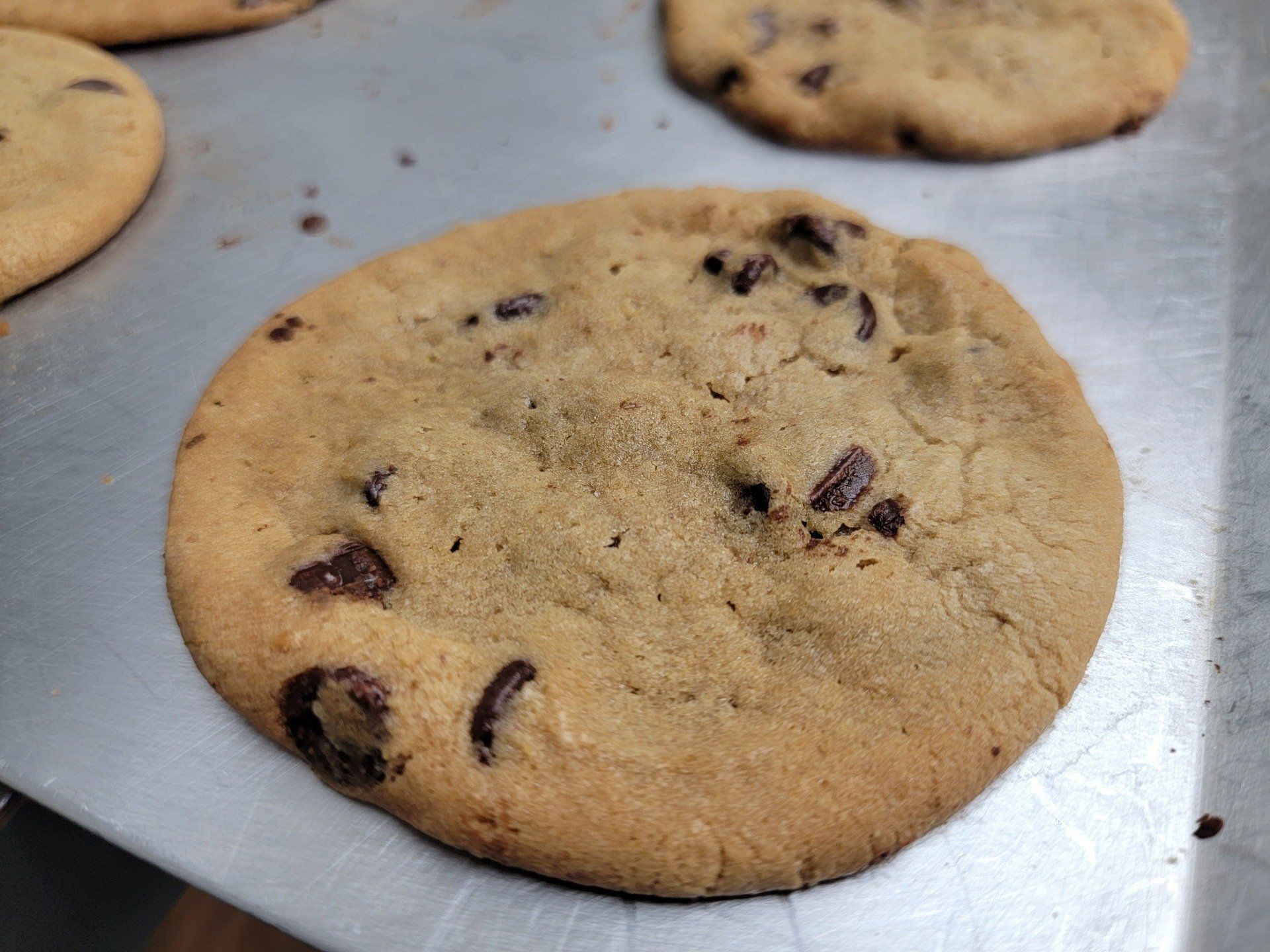 A freshly baked, round chocolate chip cookie sitting on a metallic baking sheet, with other cookies visible nearby.