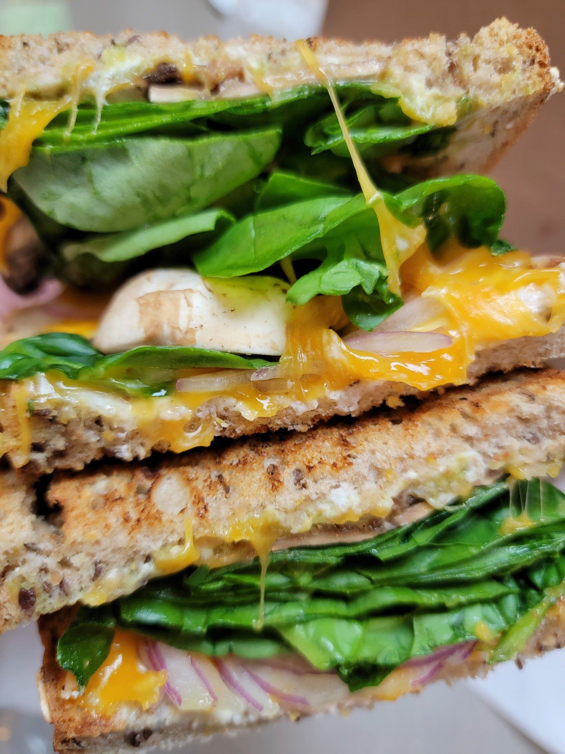 A close-up of a grilled sandwich on multi-grain bread, featuring melted cheddar cheese, spinach, mushrooms, and red onion.