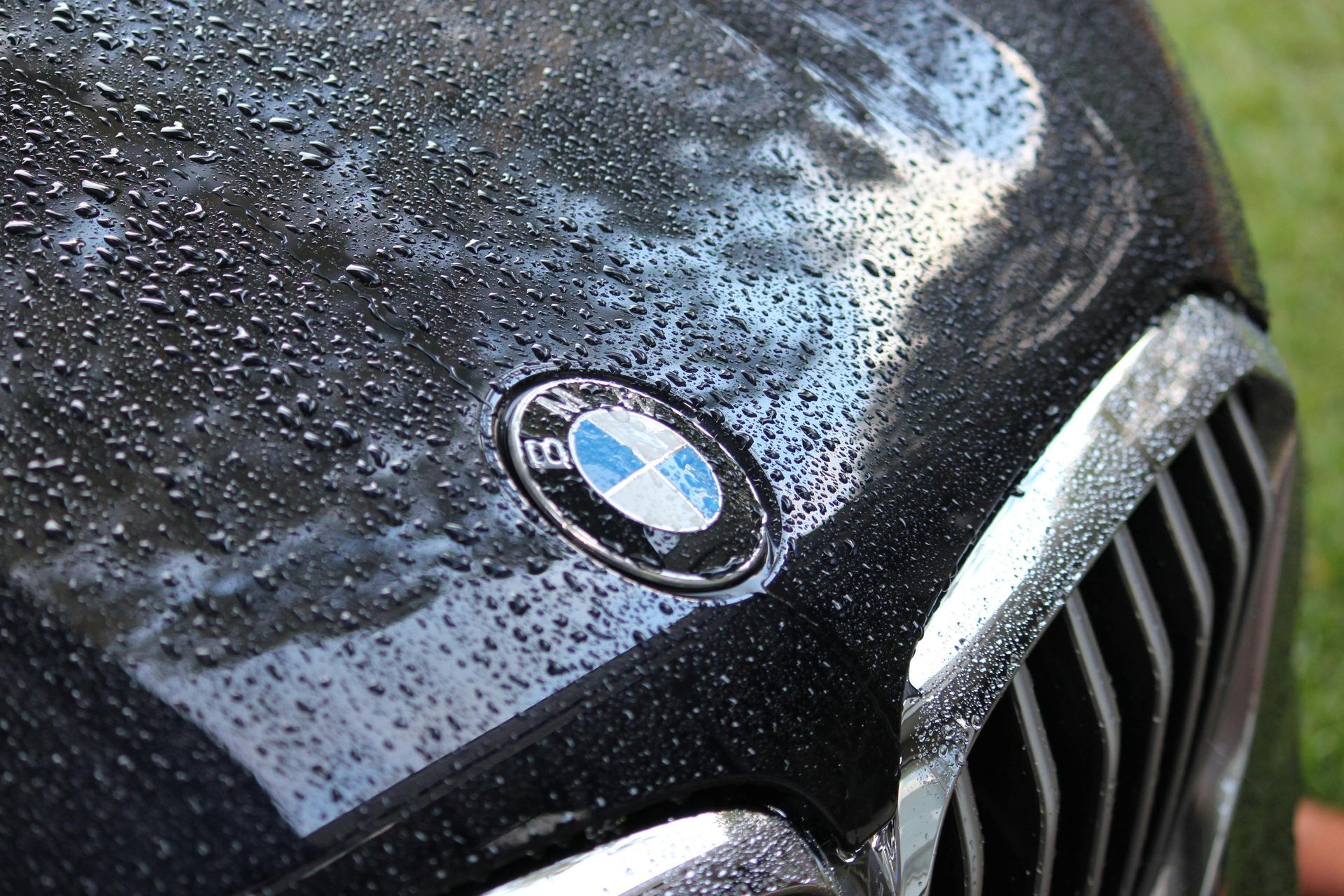 Close-up of a black BMW hood with water droplets and the blue-white emblem visible
