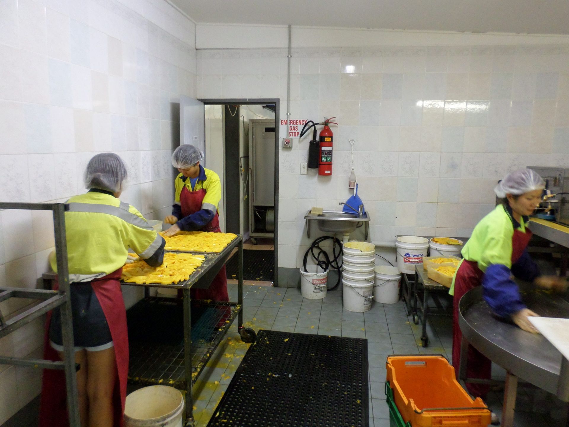 A Group of People Are Working in a Kitchen — Mareeba Golden Dried Mangoes in Mareeba, QLD