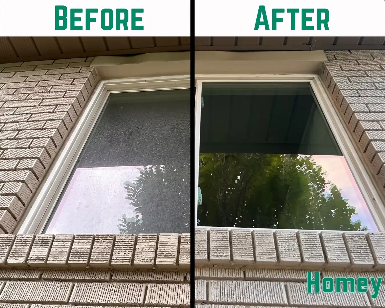 Window Cleaning Service