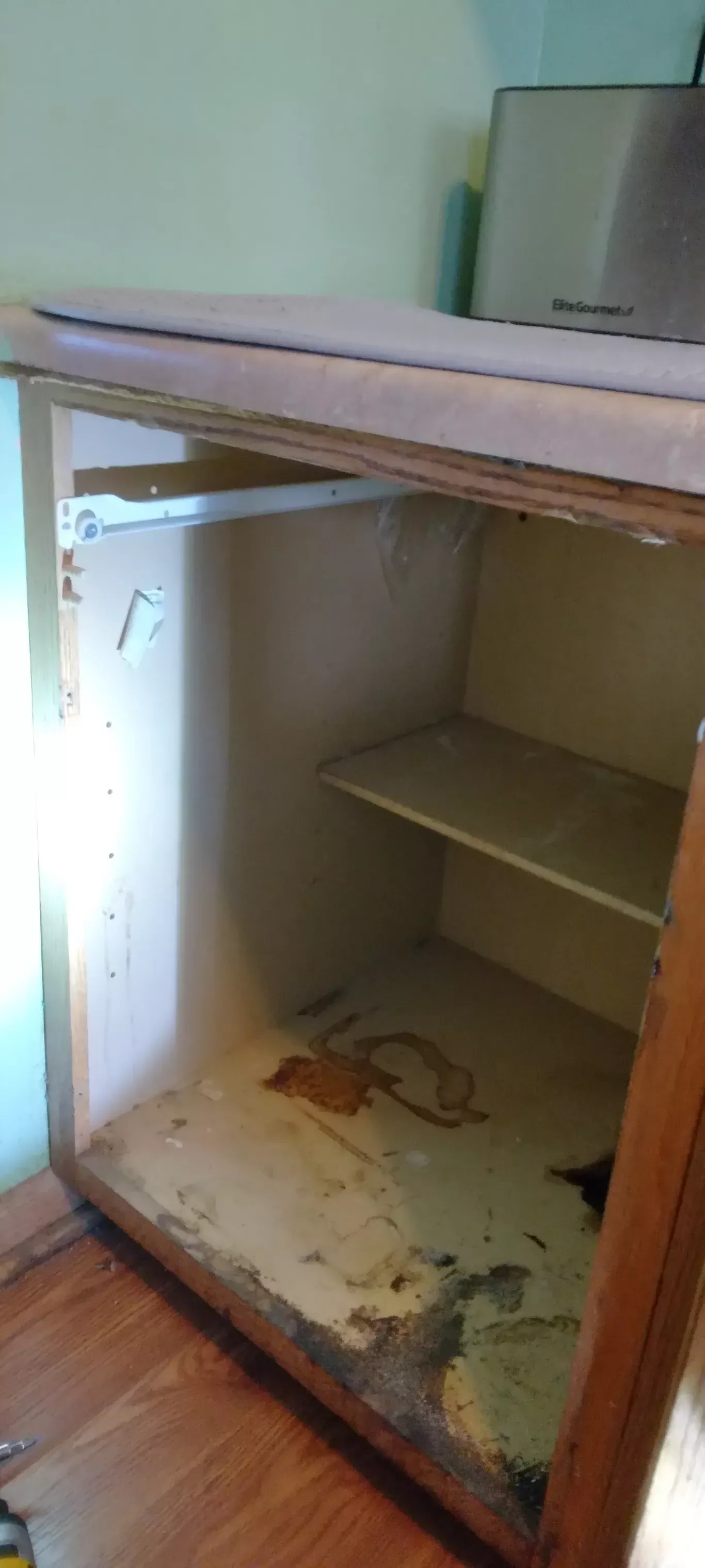 Damaged wooden cabinet under a countertop, with empty shelves and worn, dirty interior.