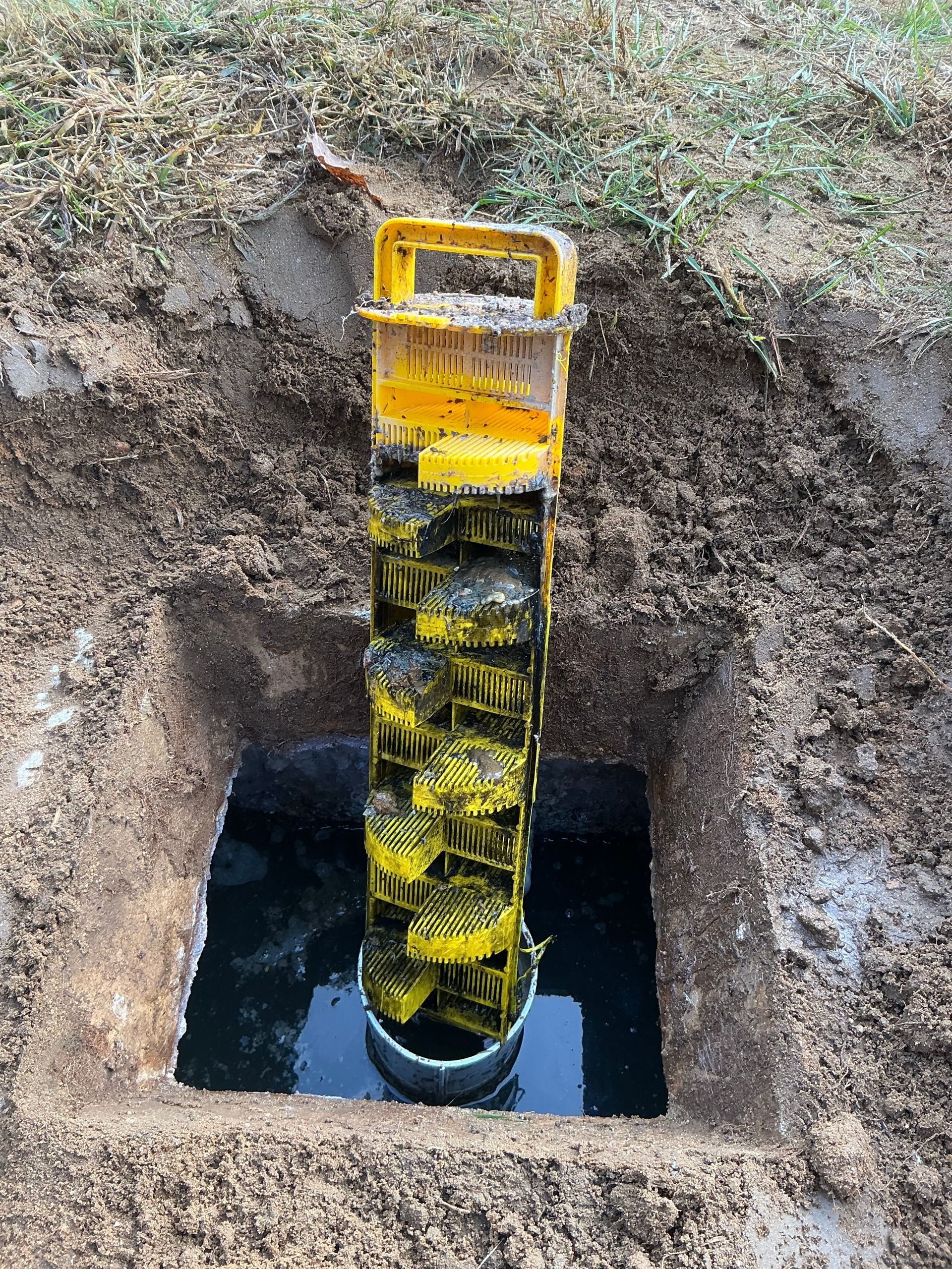 Open square hole in ground, containing a yellow filter basket submerged in water. Earth surrounds the opening.