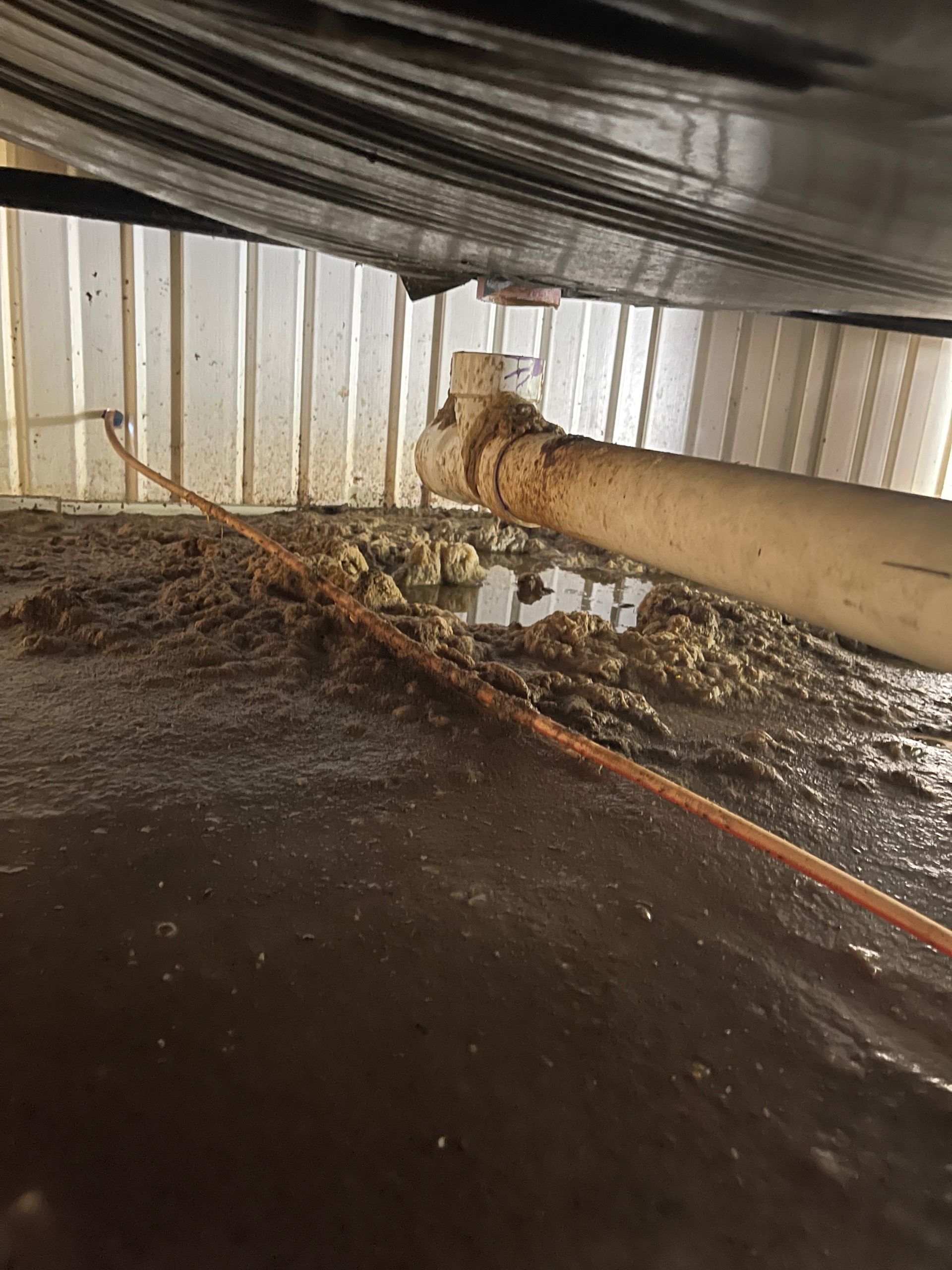Underbelly of a structure with a sewage leak. Standing water and waste surround a pipe and support beams.