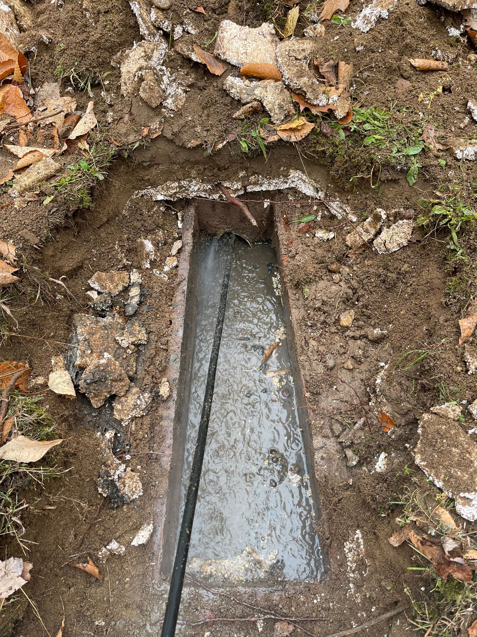 Metal trough set into the ground, surrounded by dirt, leaves, and moss.