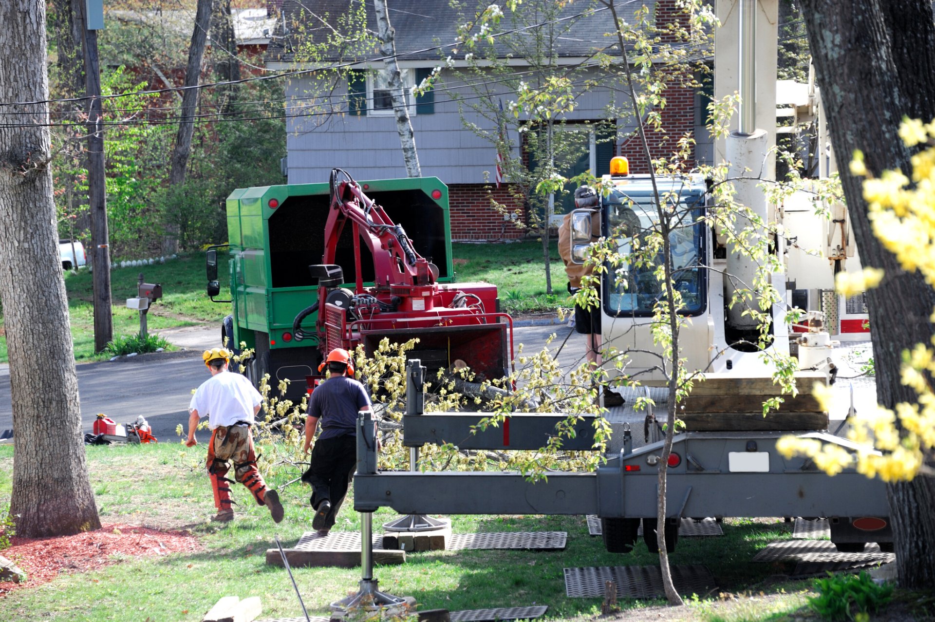 The Importance of Tree Trimming in Columbus Ohio Tree Pro Ohio