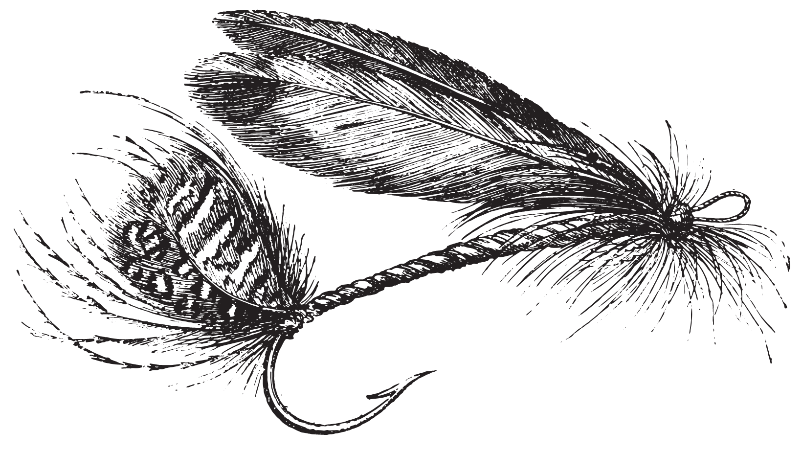 An old-timey ink etching of a salmon fly.