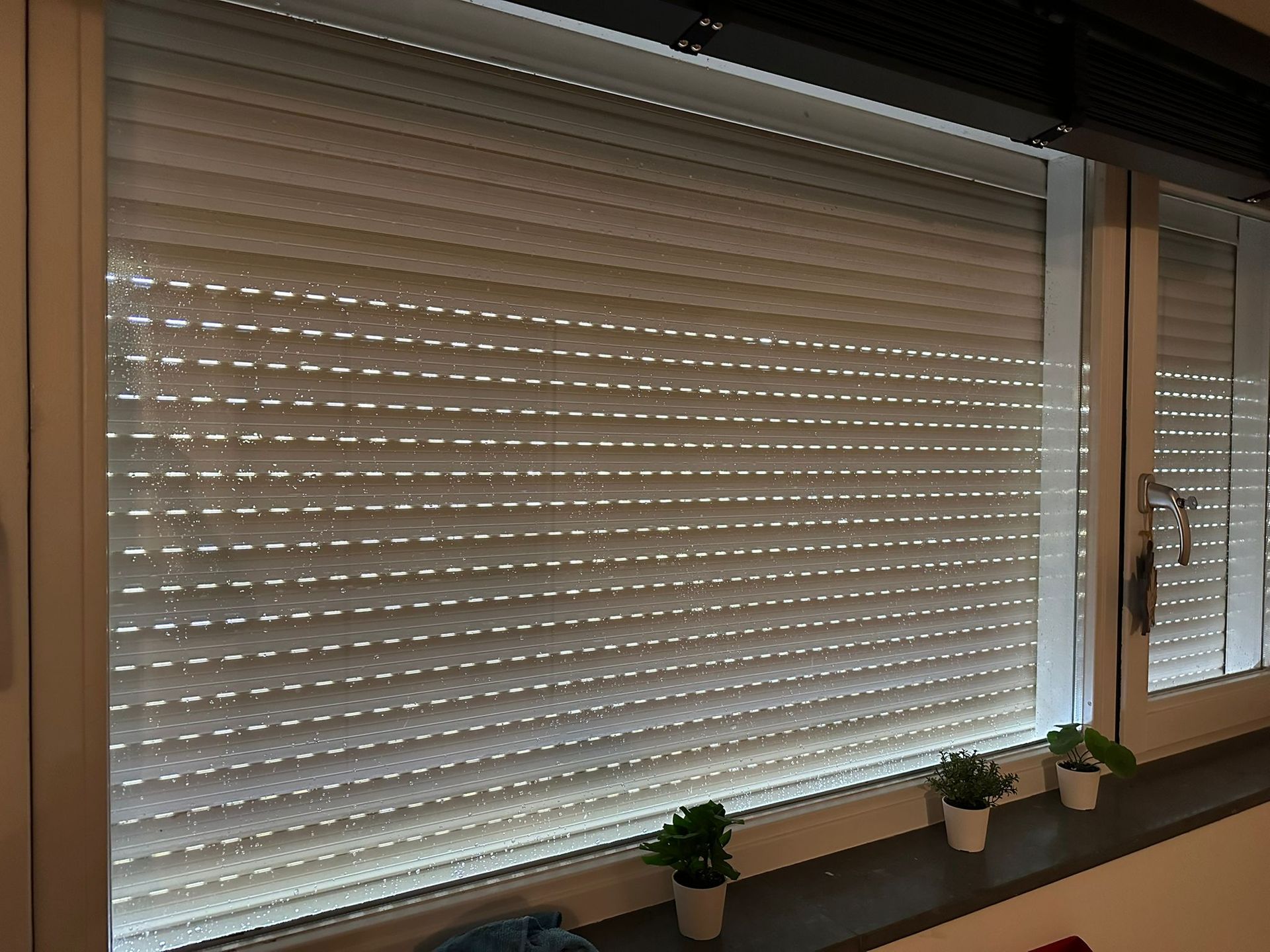 Raam met gesloten, witte jaloezieën; kleine potplantjes op de vensterbank.