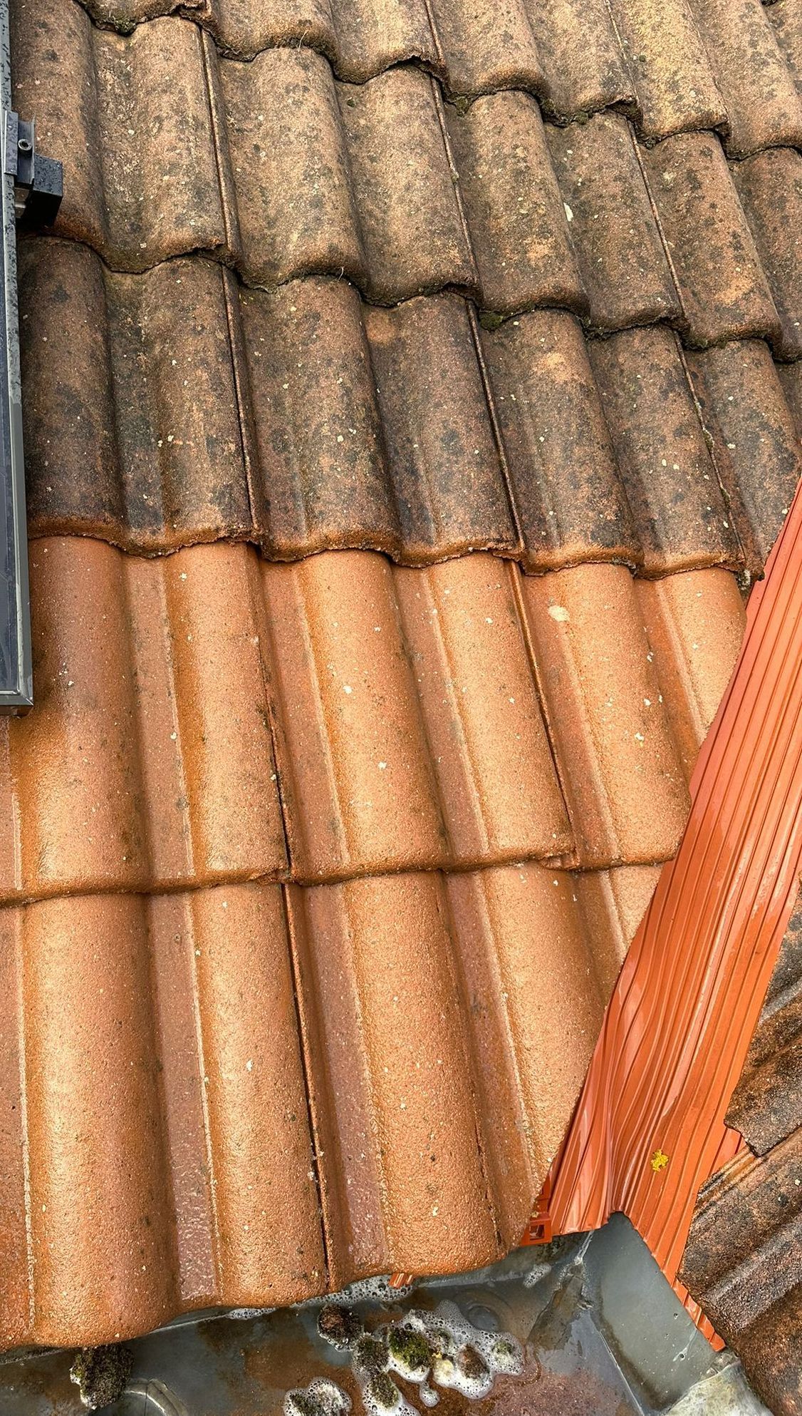 Dakpannen, half schoongemaakt; bovenste rij vuil, onderste rij schoon; oranje dakgoot met bladvanger.