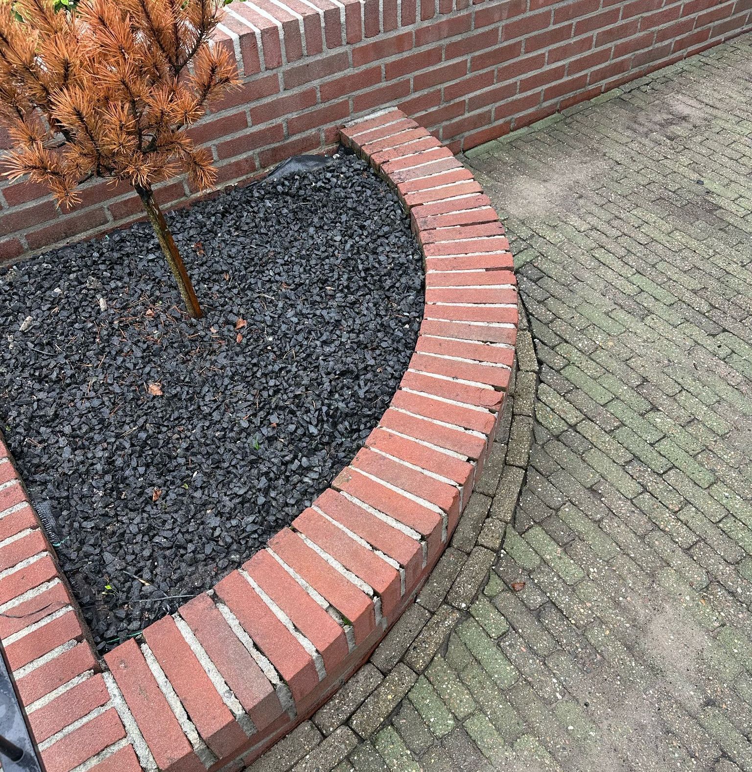 Bakstenen plantenbak met een bruine boom en donkere mulch, grenzend aan een bakstenen pad.