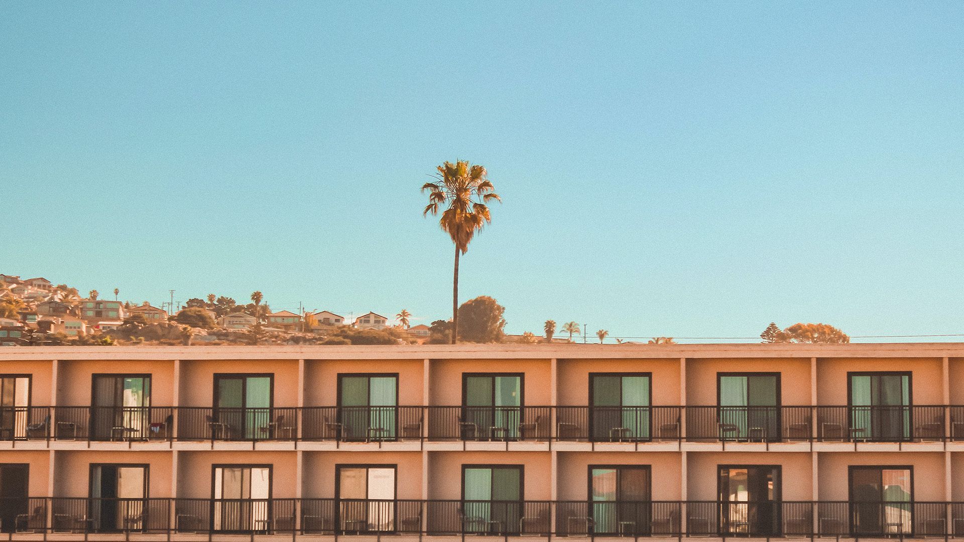 A hotel with a palm tree in the middle of it