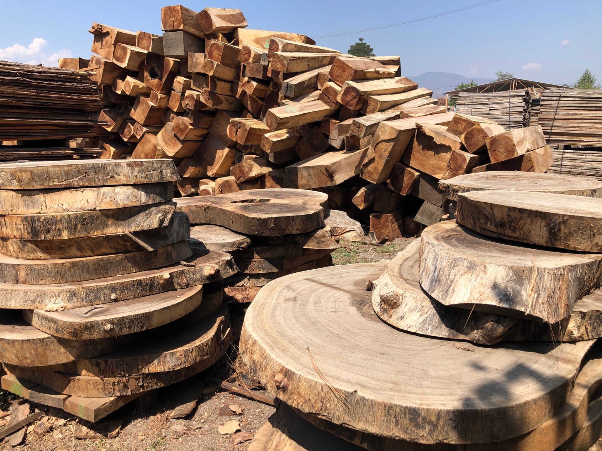 A pile of logs are stacked on top of each other in a field.