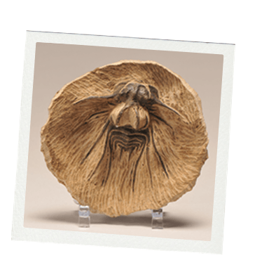 Brown, circular, textured sculpture on a clear stand, resembling a face or mask.