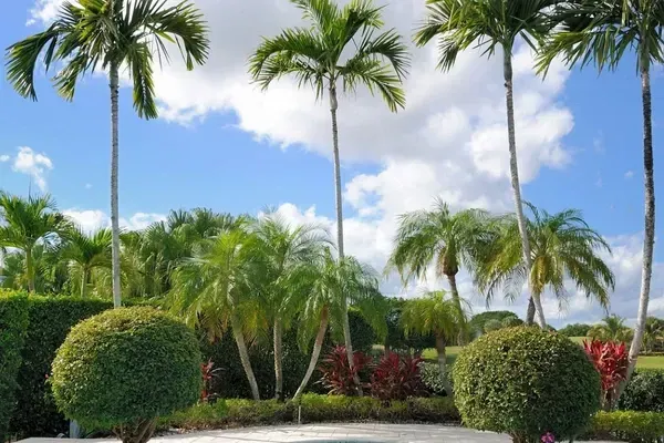 community landscaping improvements fort myers fl