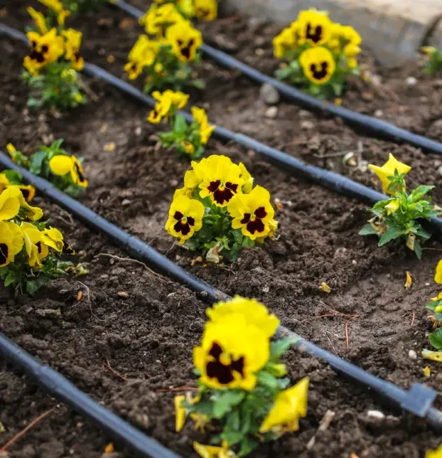 custom drip irrigation design