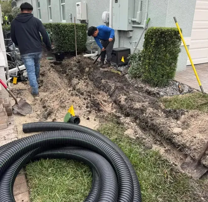 drainage expert