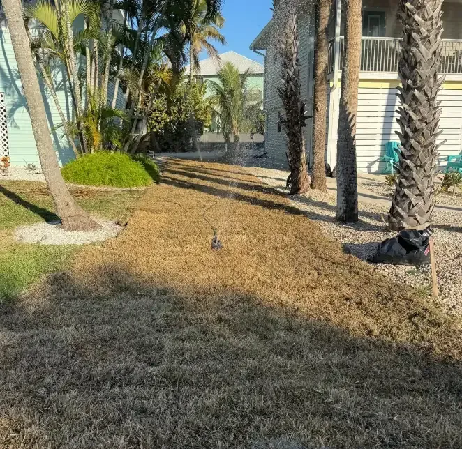 irrigation and water in cape coral fl