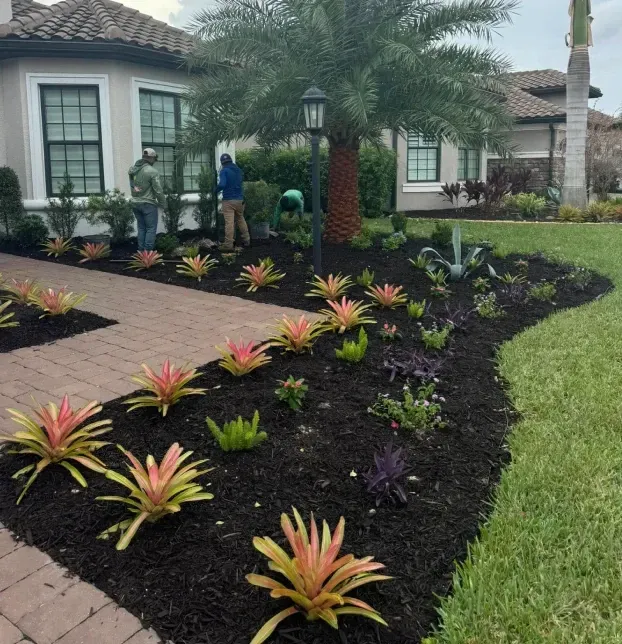 landscape enhancements solutions in fort myers fl