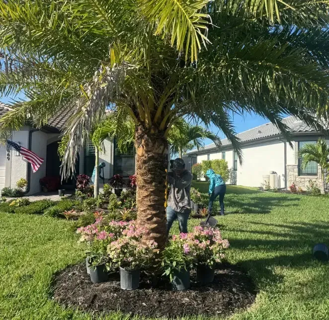 landscaping in cape coral fl