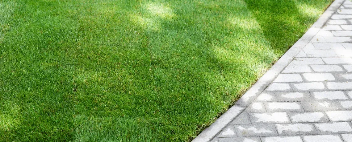 new landscaping home value fort myers