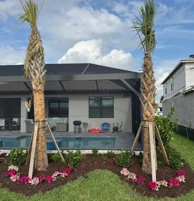 tree installation in fort myers fl