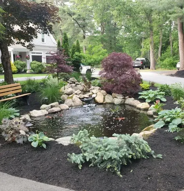professional pond repair