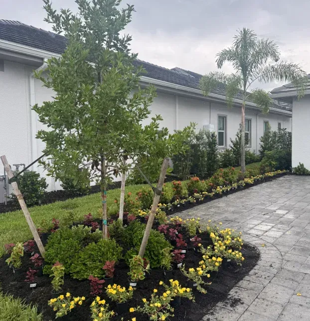 tree installation in fort myers fl
