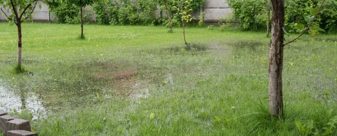 yard flood after It rains in fort myers