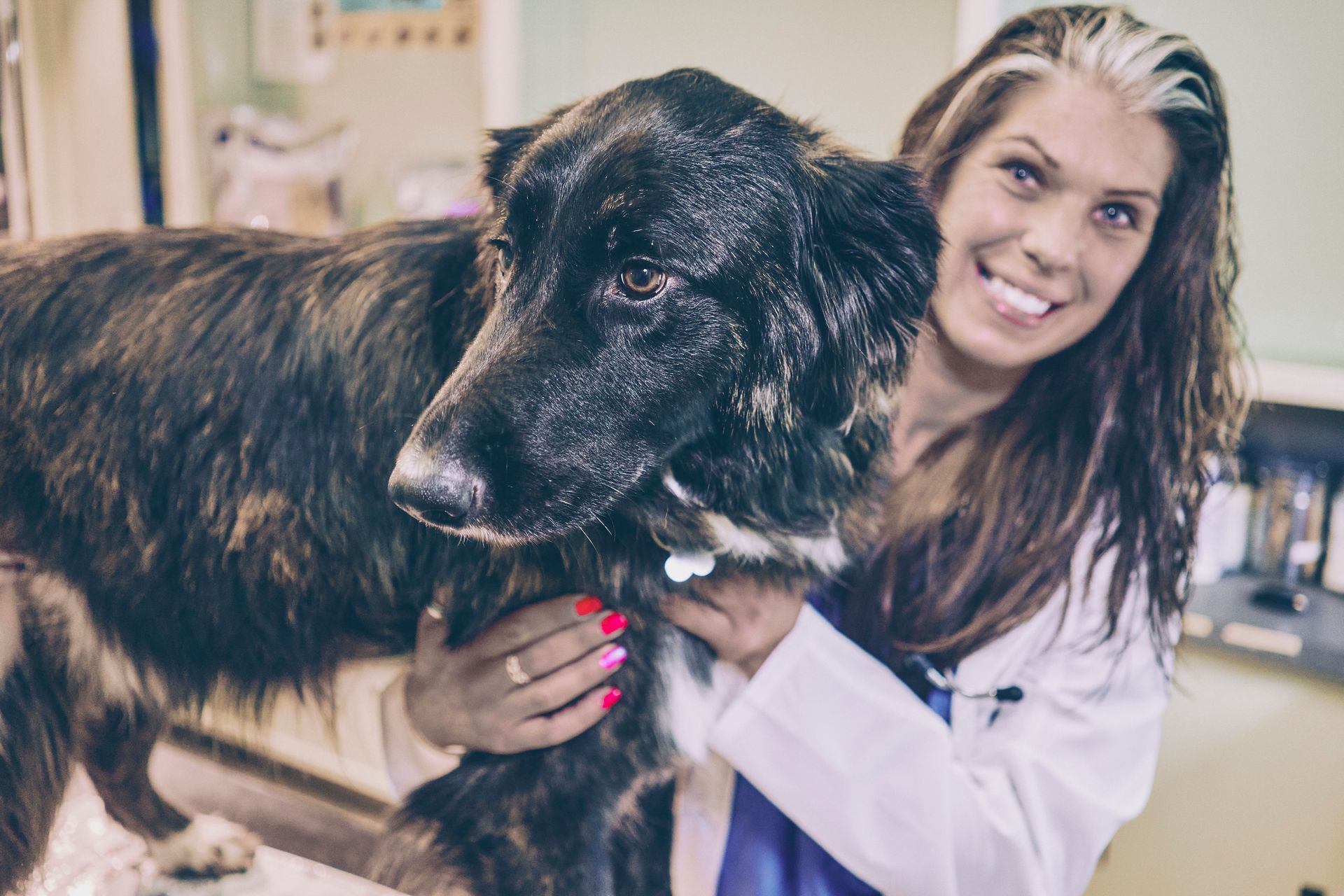 A female veterinarian is holding a large black dog in her arms.