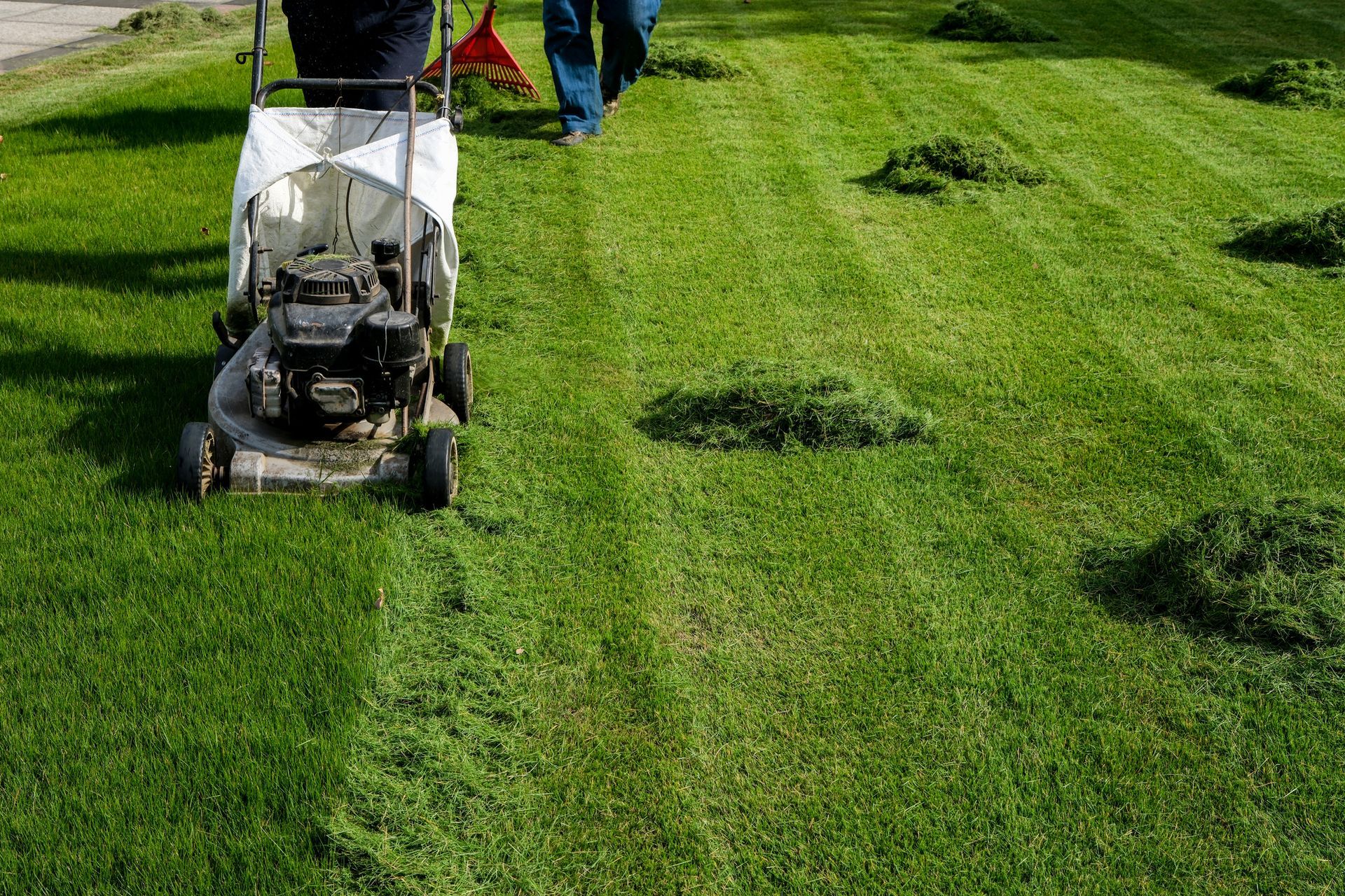 A man is mowing a lush green lawn with a lawn mower.