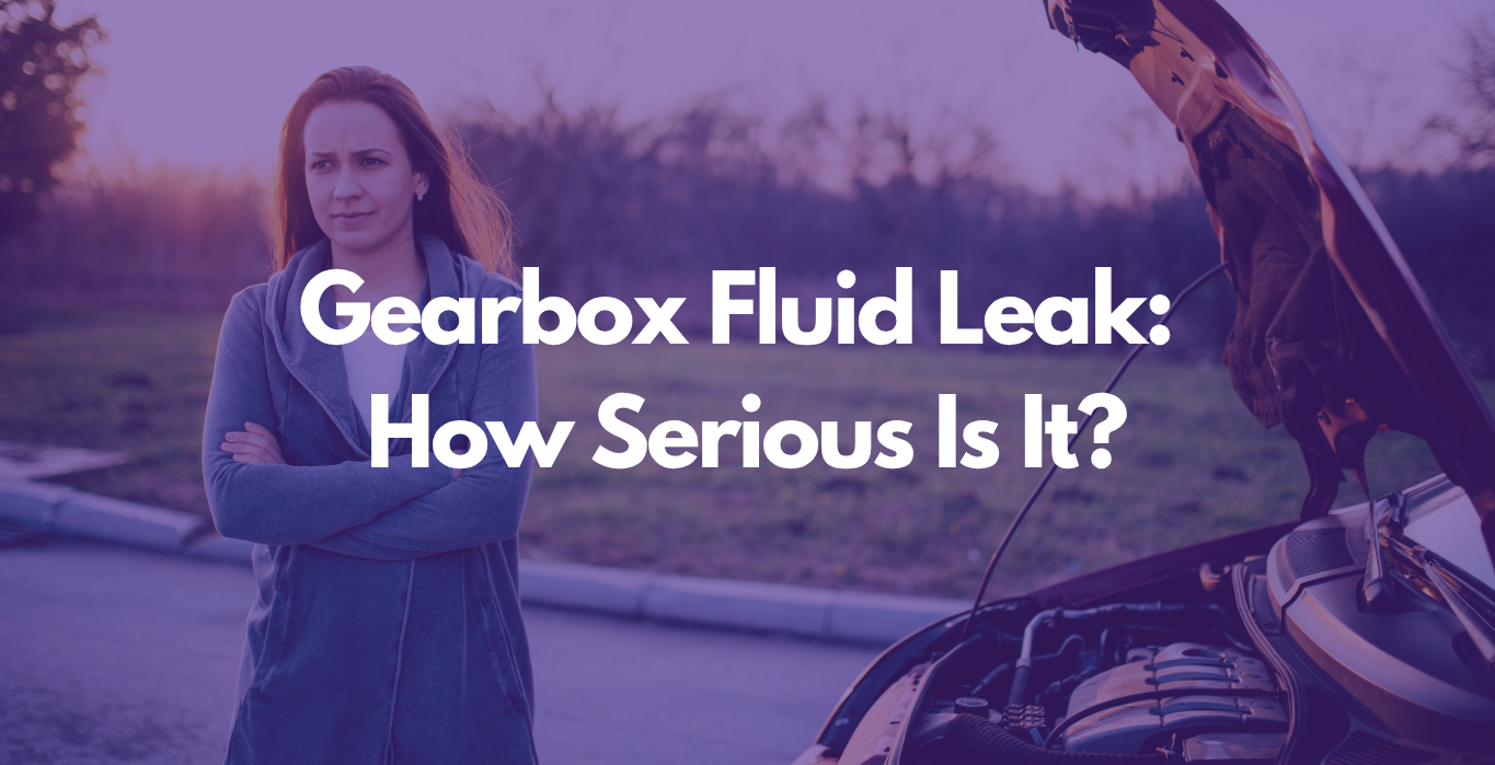 gearbox fluid leak