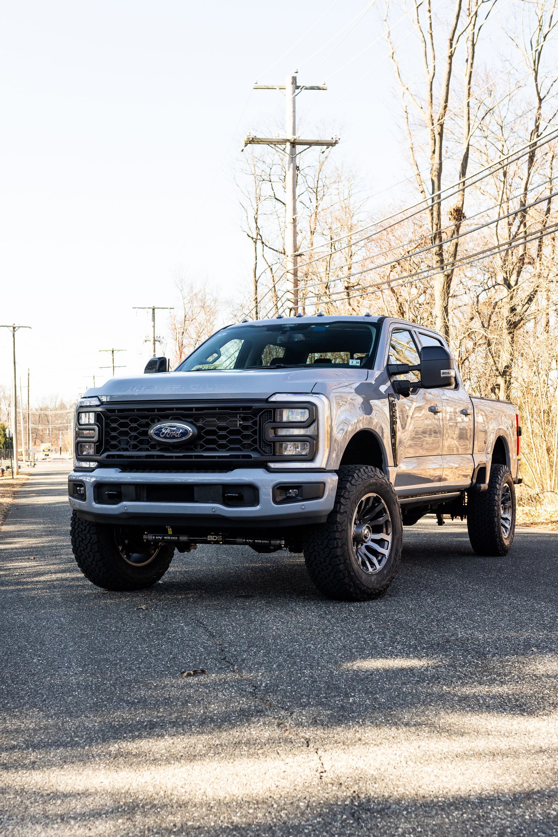 Gray Ford truck on a road, with a black grille and large tires. Bare trees and utility poles in the background.