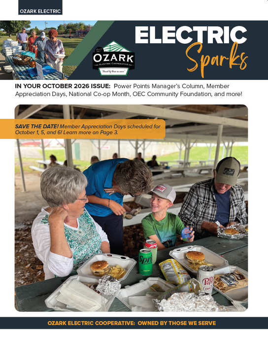 Electric Sparks Newsletter