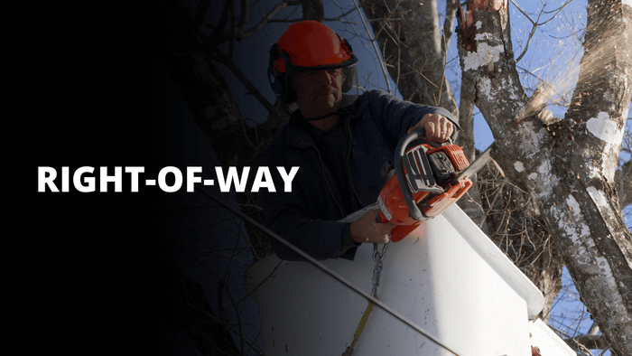Tree worker trimming branches with chainsaw, with “RIGHT-OF-WAY” text on the left