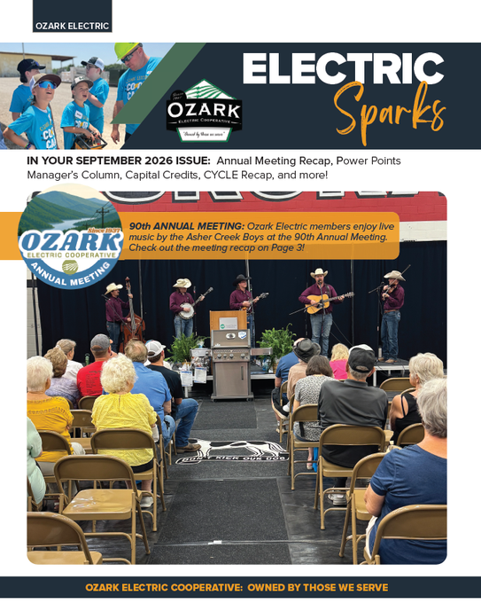 Electric Sparks Newsletter
