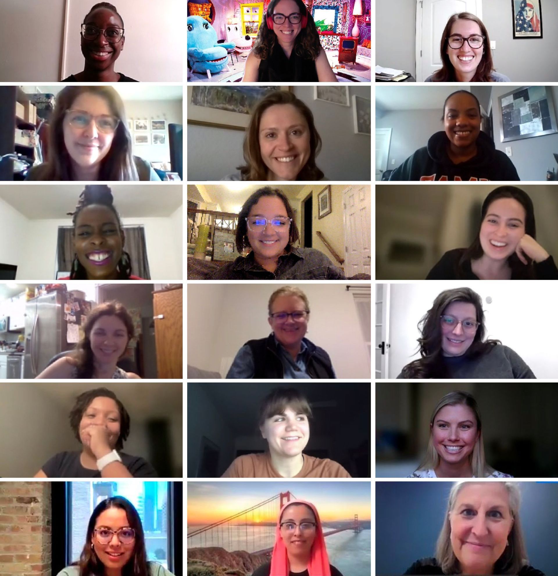WP&D Virtual Zoom Meeting