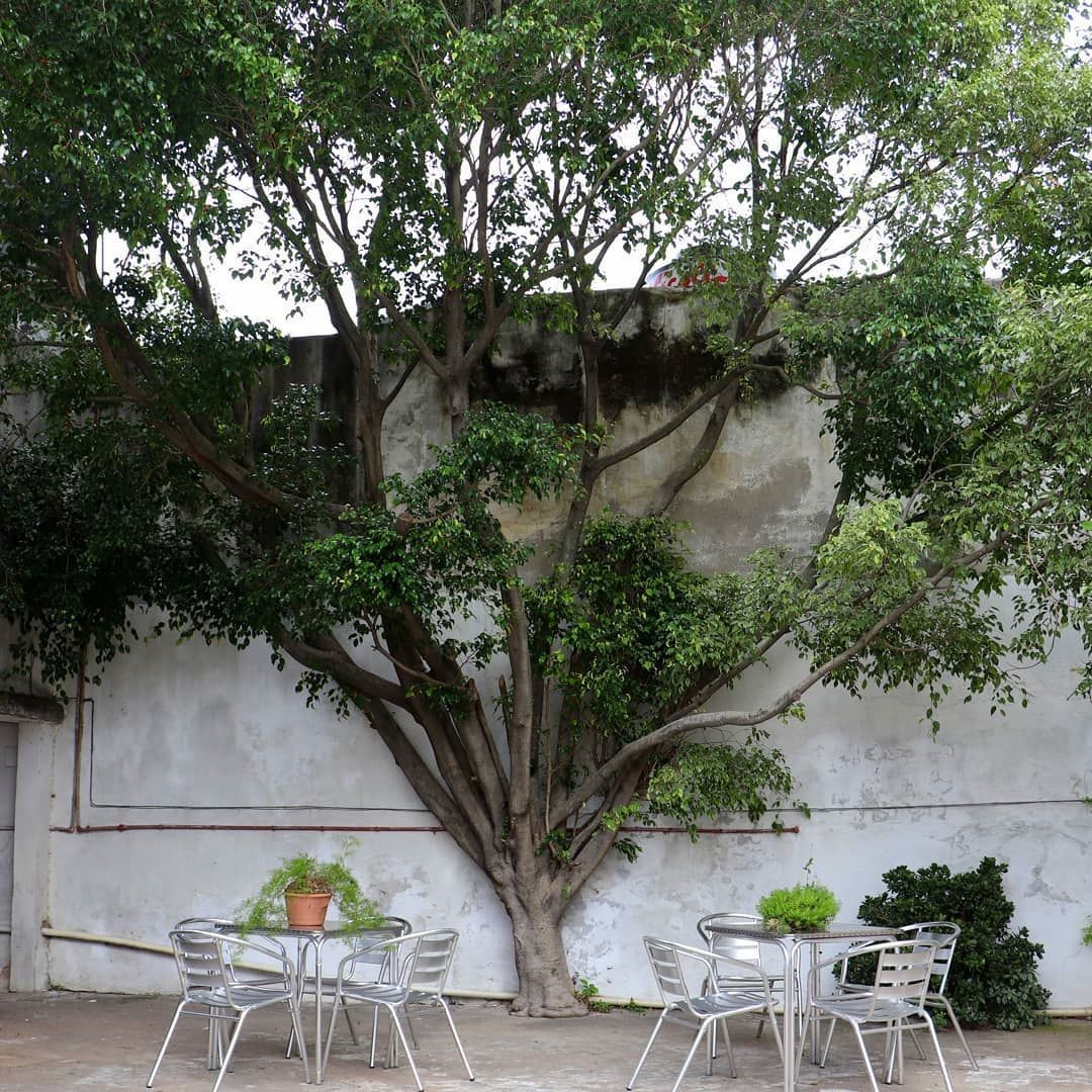 Residencial Gerardo