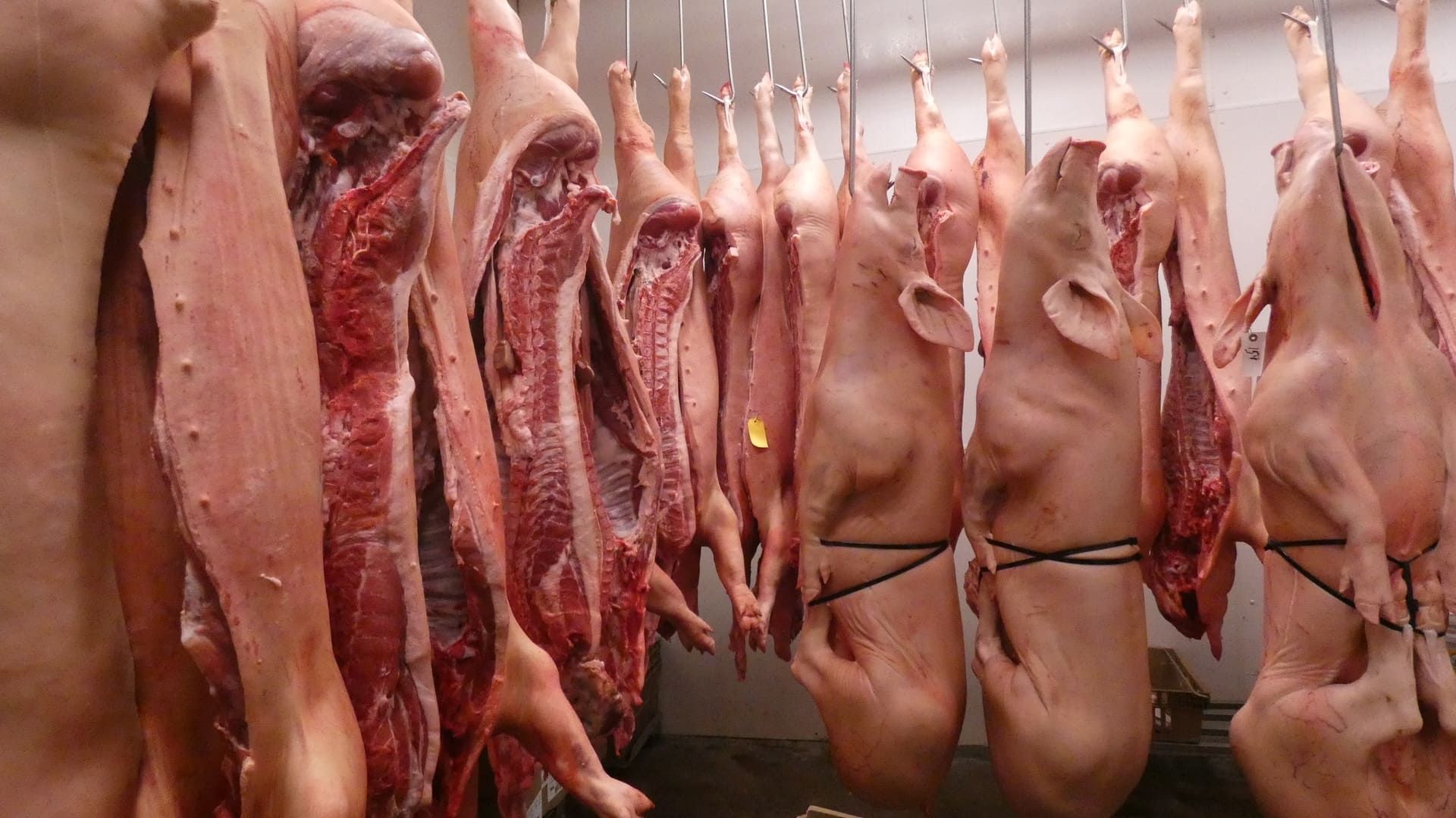 Kelley Meats 16