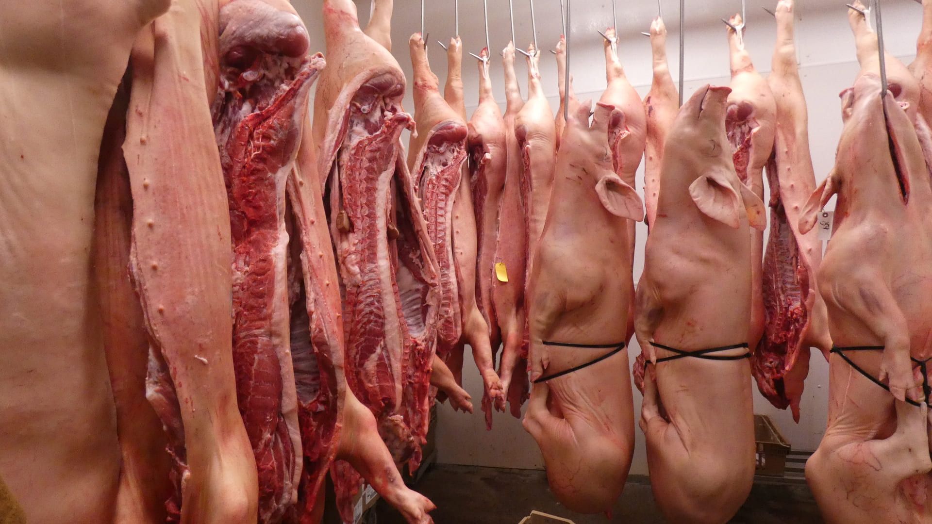 Kelley Meats 17