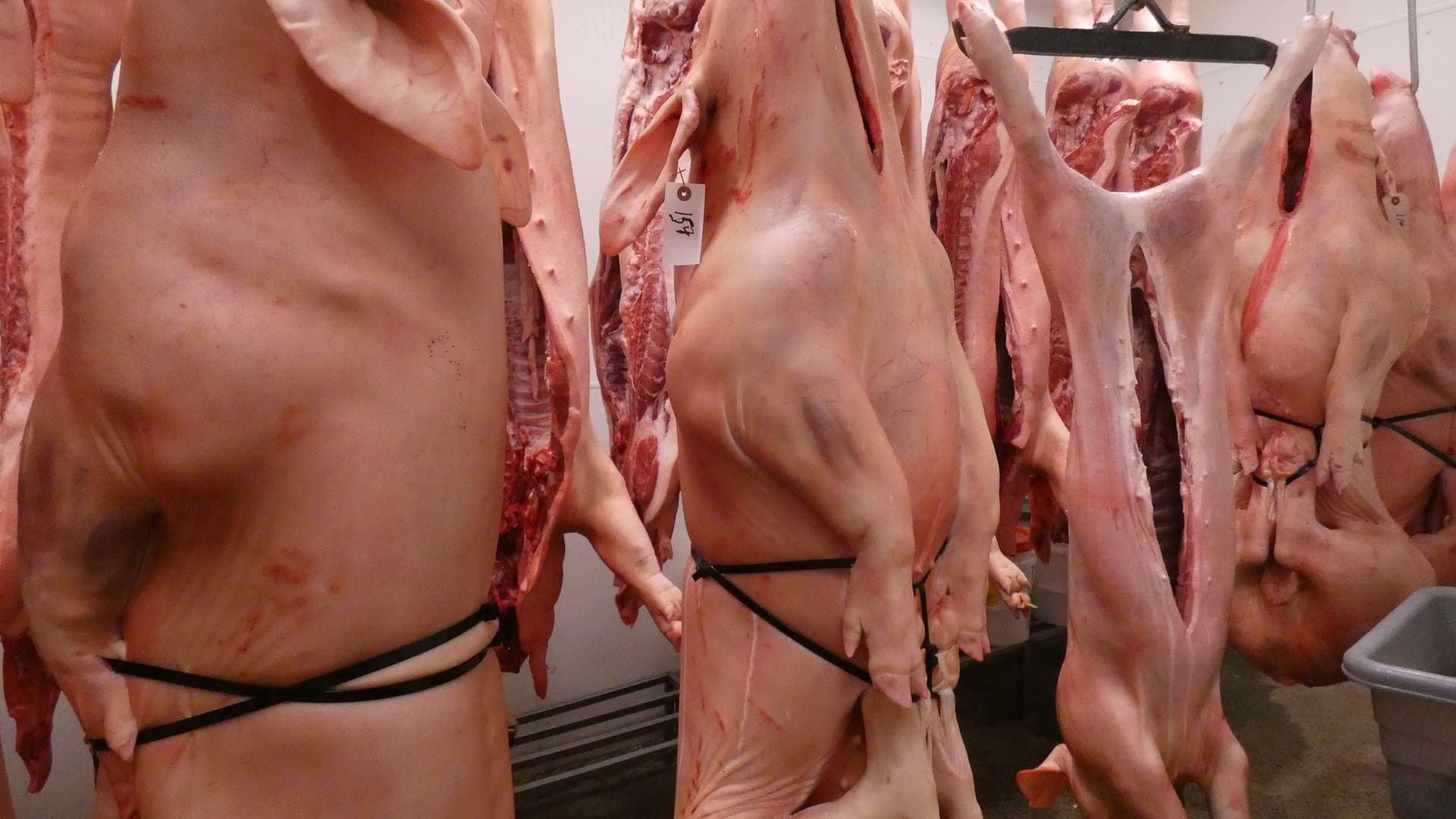 Kelley Meats 18