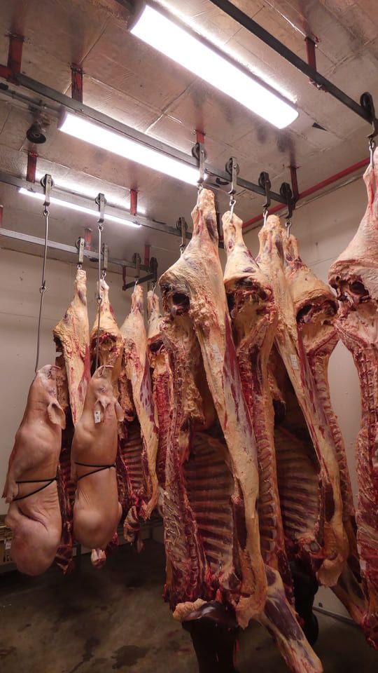 Kelley Meats 19