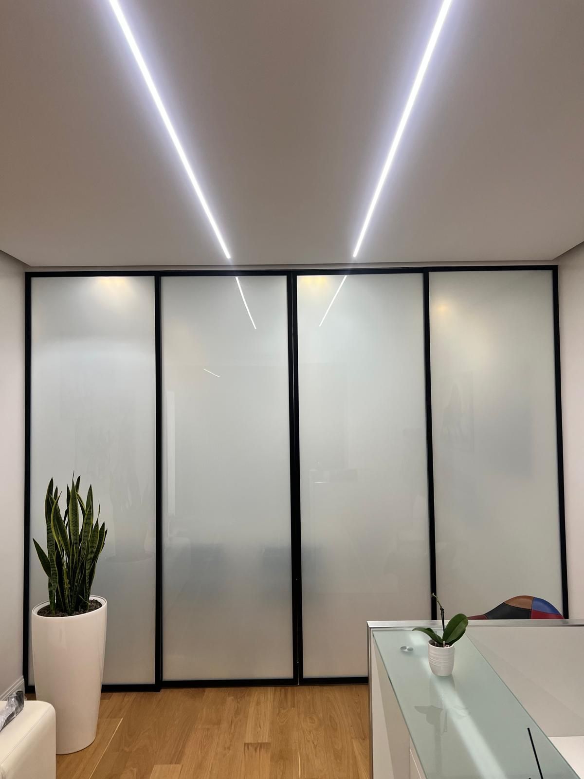 Interni di ufficio moderni con porte in vetro satinato, luci a LED a soffitto, pianta e scrivania in vetro.