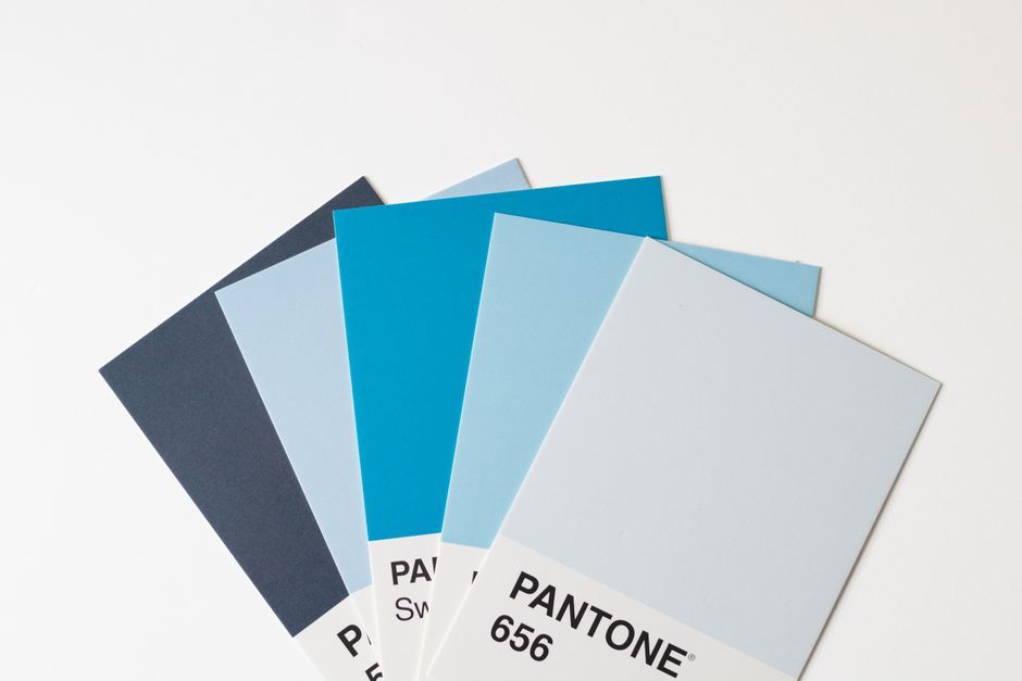Terracotta and sage color swatches, linen fabric, and dried botanicals on a desk, representing therapist brand elements.