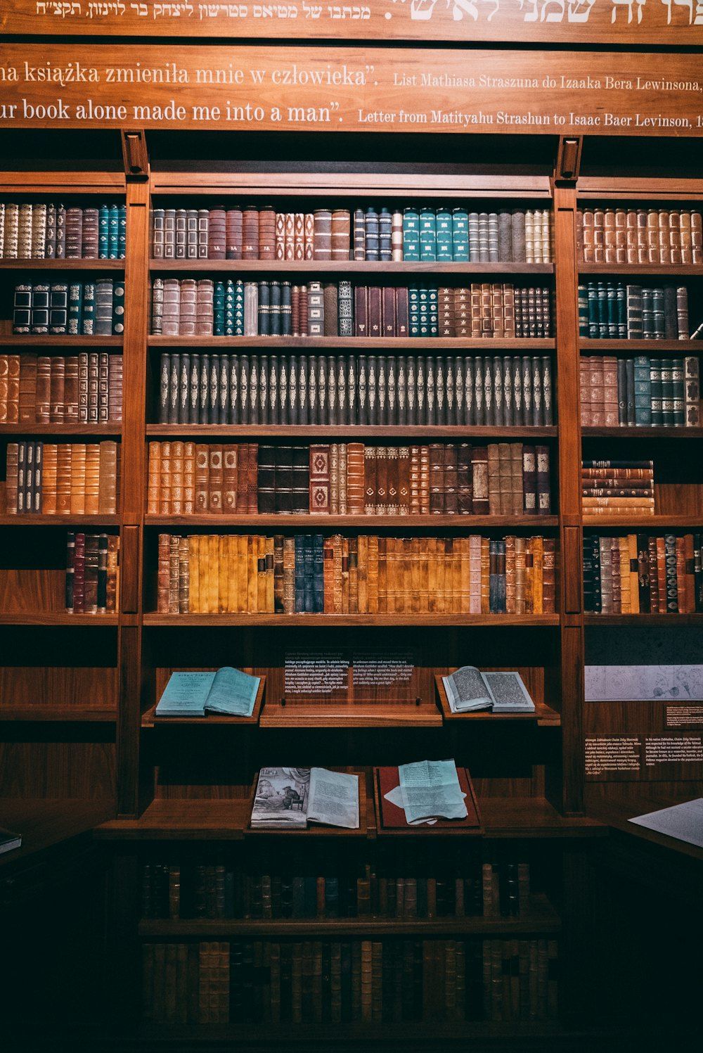 Tall library shelves filled with rows of books in a quiet reading room